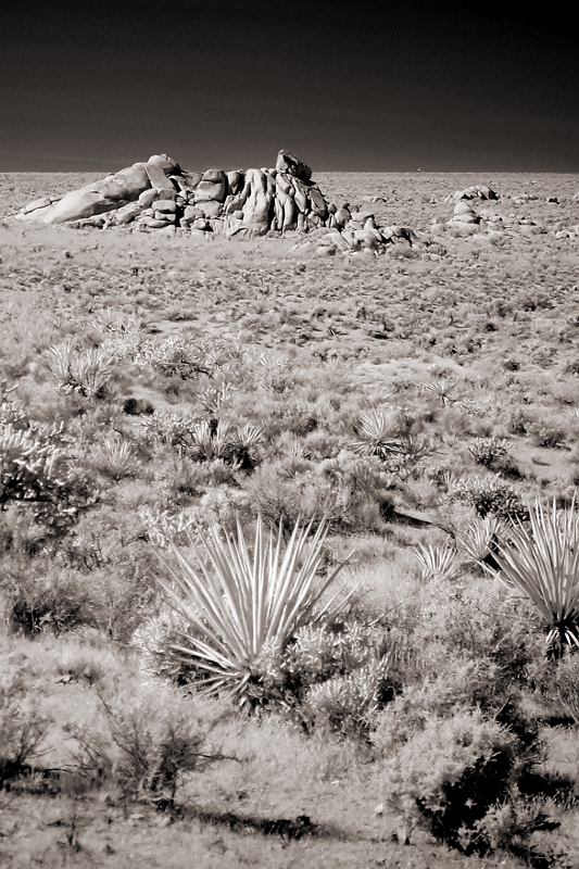 Rock Outcropping Between CA & AZ � Dave Hickey